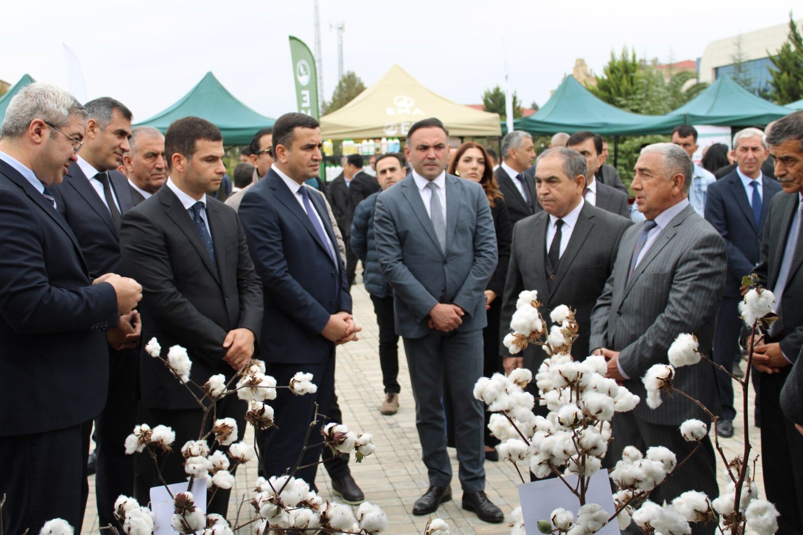 SAATLIDA AQRAR BİZNES VƏ “PAMBIQ” FESTİVALLARI KEÇİRİLİB