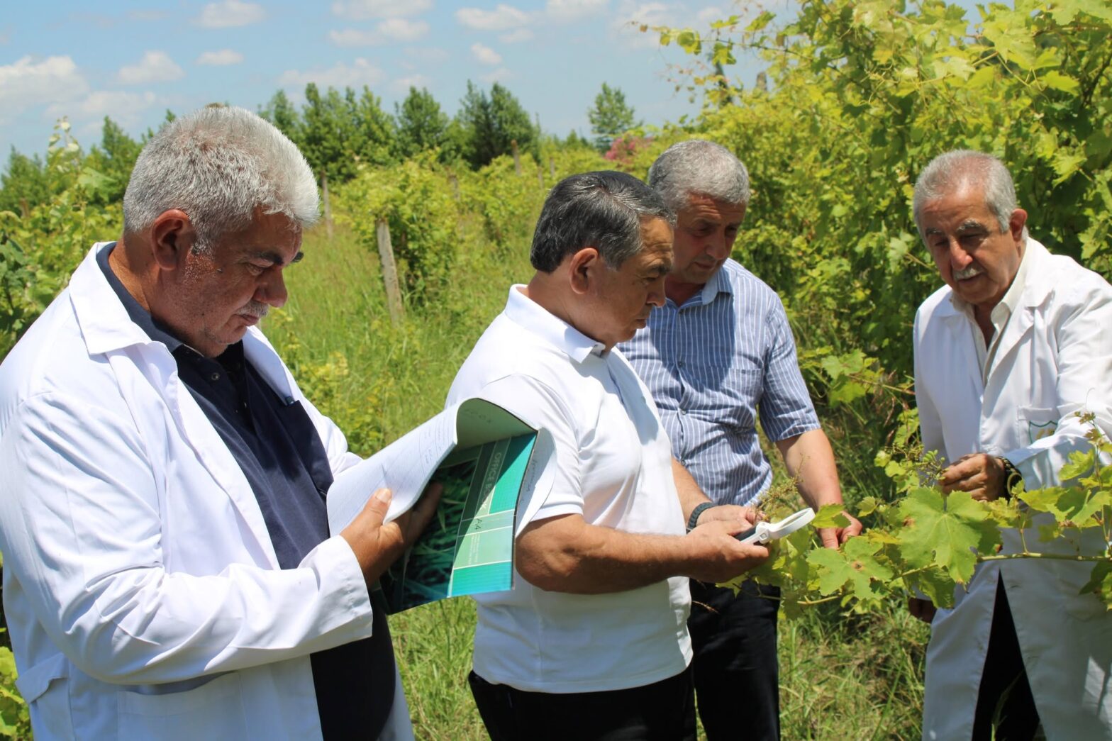 İŞĞALDAN AZAD EDİLMİŞ ƏRAZİLƏRDƏ FİTOSANİTAR MONİTORİNQLƏR UĞURLA DAVAM ETDİRİLİR