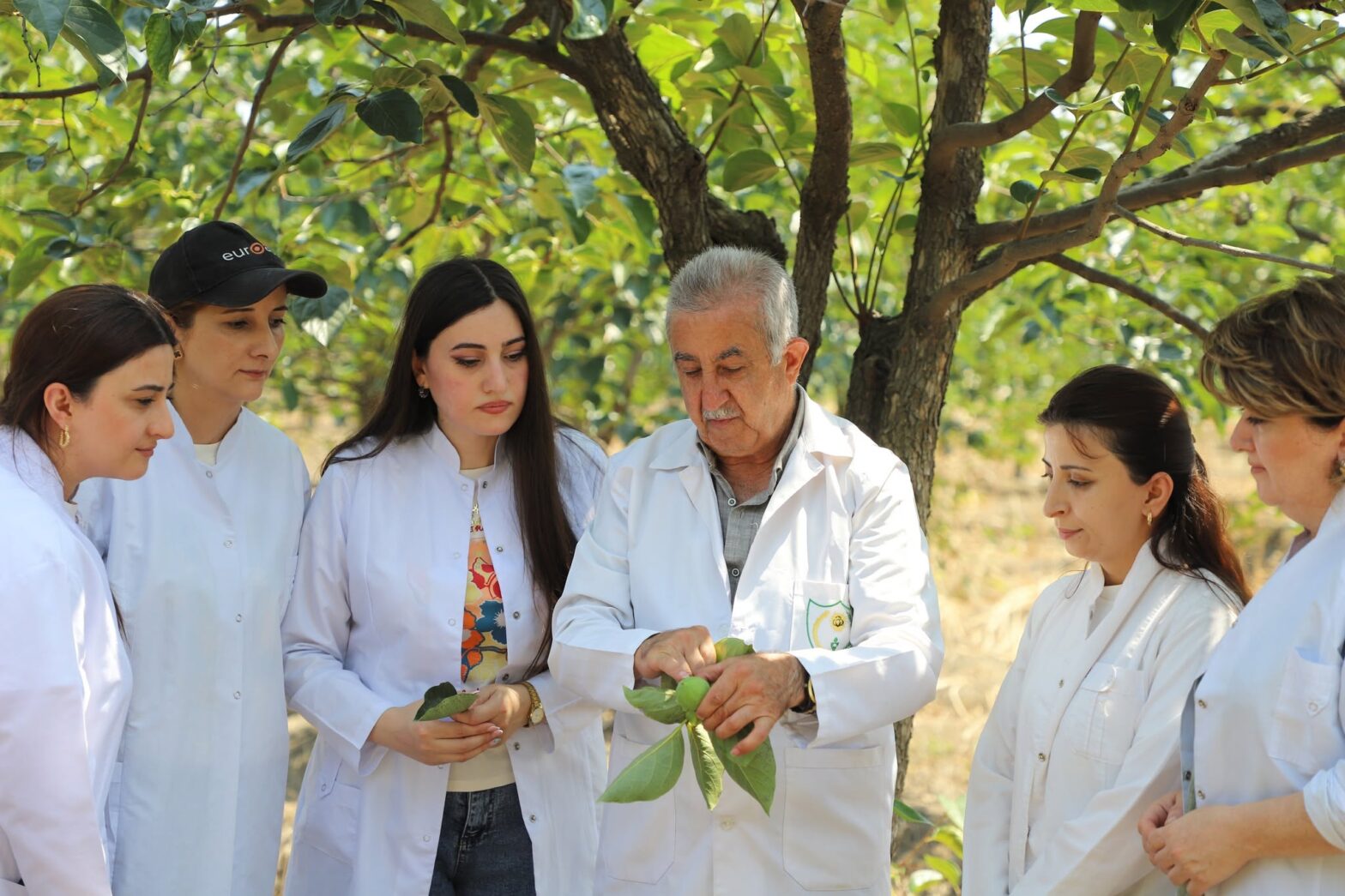 ŞƏMKİR RAYONUNDA KƏND TƏSƏRRÜFATI BİTKİLƏRİNİN FİTOSANİTAR VƏZİYYƏTİ QİYMƏTLƏNDİRİLİB